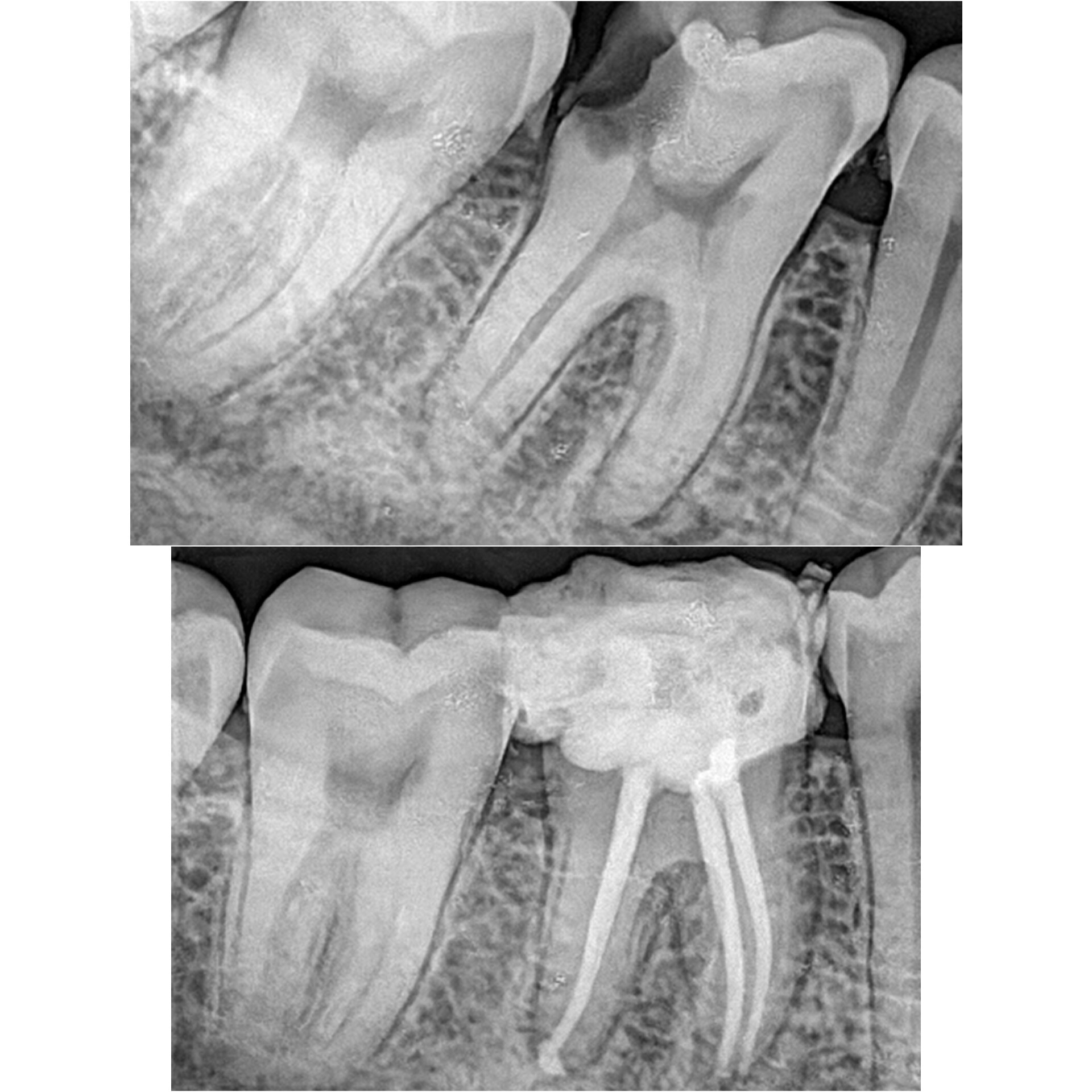 best dental hospial hosur